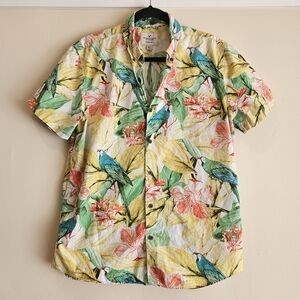 American Eagle Short Sleeve Button Up